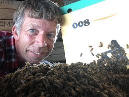 David Severino's Instagram, Twitter & Facebook