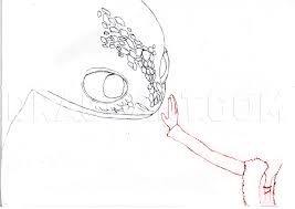 How To Draw Toothless And Hiccup Step By Step Drawing Guide By Dragodino Dragoart Com Finished drawing of toothless from how to train your dragon 2. how to draw toothless and hiccup step