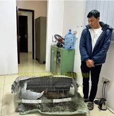 Theo tôi, trong phiên phúc thẩm, hãy tăng nặng hình phạt đối với người đàn  ông đã nuôi, nhân giống và mang bán loại gà lôi trắng này. Cụ thể: thay vì
