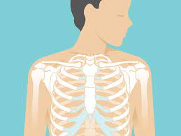 Sternum Popping Treatment Pain Chest Pain And Symptoms