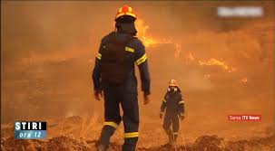 Se ascunseseră sub o maşină, dar nu au scăpat de foc. Vce1xldvldpmpm