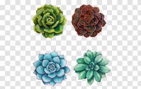 If you want to make a decorative painting of a plant, cacti are easy for you to draw and only require a few paint colors. Watercolor Painting Succulent Plant Art Drawing Idea Transparent Png