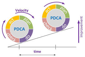 Decentralized Enterprise Risk Management Issues under Rapidly Changing  Environments