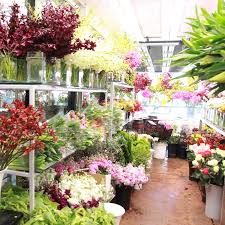 Located on the scenic east hill side of homer, over looking beautiful kachemak bay, we grow 14 different cultivars of peonies for the cut flower market. Edmond S Plaza Florist San Mateo Flower Delivery High End Original Unique Same Day Delivery Largest Selection Of Floral Designs In The Usa