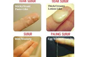 Umumnya ini terjadi sekitar 12 hingga 14 hari sebelum hari pertama untuk bisa mendapatkan keturunan, mom perlu mengetahui cara cepat hamil setelah haid atau pada masa subur. Kenali Tanda Tanda Masa Subur Perempuan Yang Memungkinkan Cepat Hamil Semua Halaman Nakita