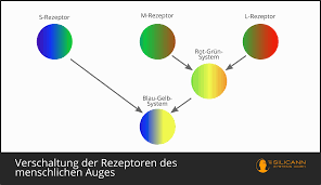 Hier findest du einen videovortrag zum thema regenbogenfarben bedeutung Regenbogenfarben