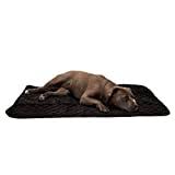 Check spelling or type a new query. Self Warming Dog Beds Reviews Benefits How Do They Work Faq