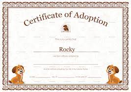 And we admit that the most important role here is the frame. Kitten Adoption Certificate The W Guide