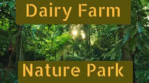 Přírodní park dairy farm 21.7.19@10.25 hodin. Hike In Singapore Dairy Farm Nature Park Youtube