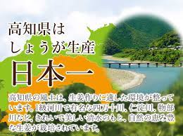 2021特集 高知県産 特別栽培 生姜 1kg以上 しょうが 34 muhoko.org