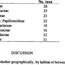 Image result for Selago anatrichota × goetzei