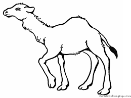 This camel coloring pages will helps kids to focus while developing creativity, motor skills and color recognition. Free Printable Camel Coloring Pages For Kids Animal Place