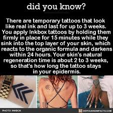 Custom tattoo prices vary by size: I Want To Get A Tattoo But It Is Haram Are There Any Alternatives Quora