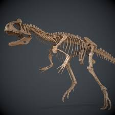 Allosaurus Skeleton 3d Model Creature Concept Art Creature Concept 3d Model