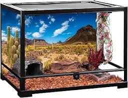 Image result for Terrarium Cling Background