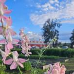 Gather Mountan Blooms Yoga and Flowers!
