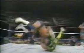Allyson charles lives in northern california. How A Jobber Took On The World Wrestling Federation And Won Ring The Damn Bell