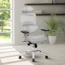 Eure Deluxe Mesh High Back Desk Chair With Neck Support Office Chair Mesh Office Chair Chair