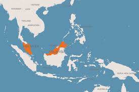 Maybe you would like to learn more about one of these? Focus On Malaysia 2018 10 18 World Grain