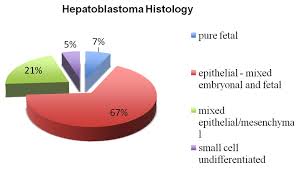 The types of cancers that are common in children are leukemia, brain and spinal cord tumors, neuroblastoma, wilms tumor, lymphoma, rhabdomyosarcoma, retinoblastoma, and bone cancer. Liver Tumors In Infancy Intechopen
