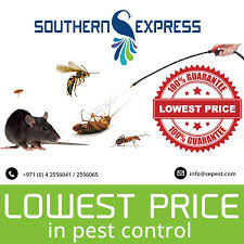 Their team of highly experienced technicians will make sure that your. Southern Express Cleaning Services Posts Facebook