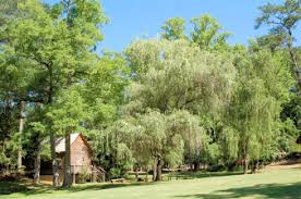 Maybe you would like to learn more about one of these? Living History Park