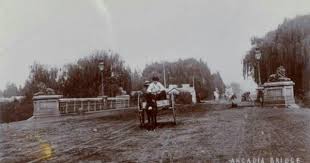 Arcadia Brug 1900 Southern Africa African History South Africa