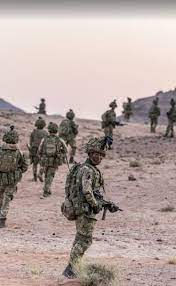 Pin By Christian Schedl On British Army Armed Forces British Army Military Personnel