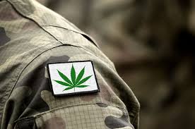 Cannabis ist in vielen staaten der usa, wie in colorado oder washington, sowie in uruguay, portugal, spanien legalisiert worden. Corona Warum Jetzt Die Cannabis Legalisierung Sinnvoll Ware Weedo