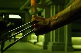 X-Men: Apocalypse': How Wolverine's Cameo Sets Up His Next Standalone Movie  - TheWrap