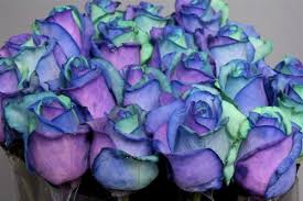 Check spelling or type a new query. Purple Teal And Blue Roses These Are Pretty I Love Brightly Colored Flowers These Are Awsome Purple Roses Beautiful Flowers Beautiful Roses