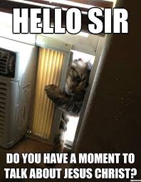 Jehovah Witness Cat Weknowmemes Laughing So Hard Funny Cat Memes Make Me Laugh