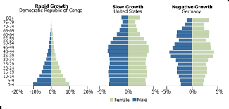 40 votes) there are three types of population pyramids: Animation Population Pyramids Of The 10 Most Populous Countries