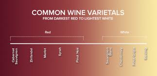 Red Wine Varietals Chart Www Bedowntowndaytona Com