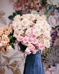 We did not find results for: Why It S Important To Use Flower Food For Your Flowers Thursd