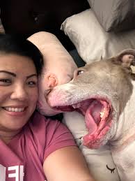 How many times do I gotta tell ya....I am not...tired." -Pita