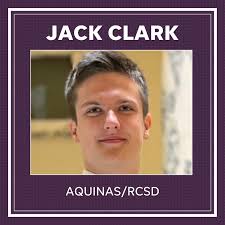 AGR: All-Greater Rochester Boys Swimming and Diving 2023 Team