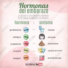 Pin En El Embarazo