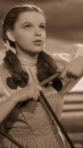 The Wizard of Oz Dorothy Quick Change Dress