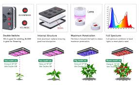 This is more than enough to cover multiple cannabis plants. Bestva Led Grow Light Elite 2000w Full Spectrum For Indoor Plants Replaced 1400w Hps Light Veg Bloom Mode Greenhouse Hydroponic Full Spectrum Led Growled Grow Light Aliexpress