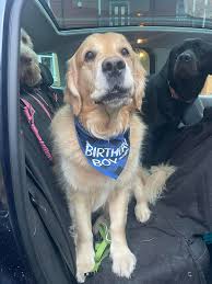 Profile for Paws 'n' Claws Formby