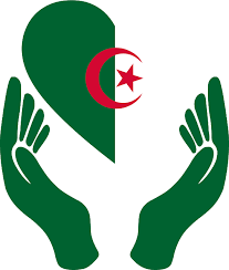 Pin By محمد المغربي On Art Algeria Flag Flag Art Flag