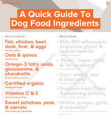 Dog Food Dog Food Reviews Dog Food Recipes Best Dog Food