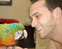 person interacting with a parrotの画像
