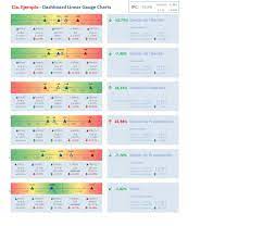 Excel Dashboard Example By Adrian Chiogna Linear Gauge Charts Screenshot Dashboard Examples Excel Microsoft Excel