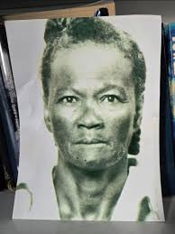 Does anyone in the USA or Barbados knows of a Caroline Chase who left  Barbados and was residing in Tavares, Florida about 1940-1960? Her brother  was my paternal grandfather. They may have