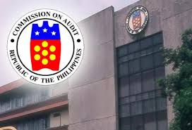 The commission on audit, abbreviated as coa, is an independent constitutional commission established by the constitution of the philippines. Ban Allocation Of Funds To Coa Personnel Assigned In Government Entities Solon Philippine Canadian Inquirer