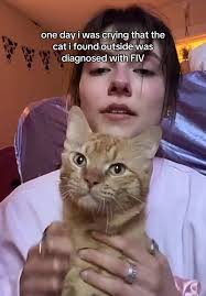 The 4 Random Barn Kittens That Have A Million Diseases