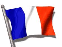 Best price guaranteed simple licensing. French Flag Gifs Tenor