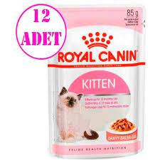 amazonpetcenter com panosundaki pin